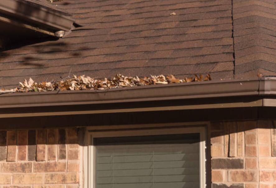 Vinyl (PVC) vs. Aluminum Gutters