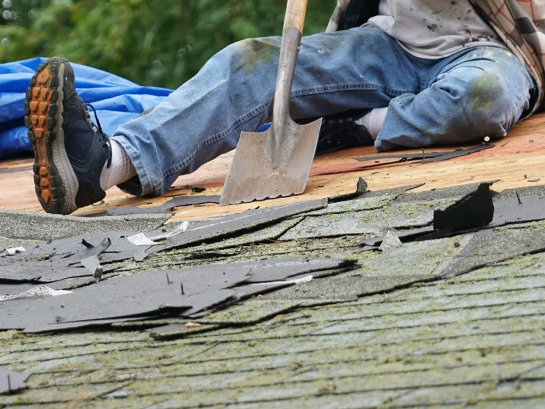 How To Deal With Green Moss on Roof Shingles