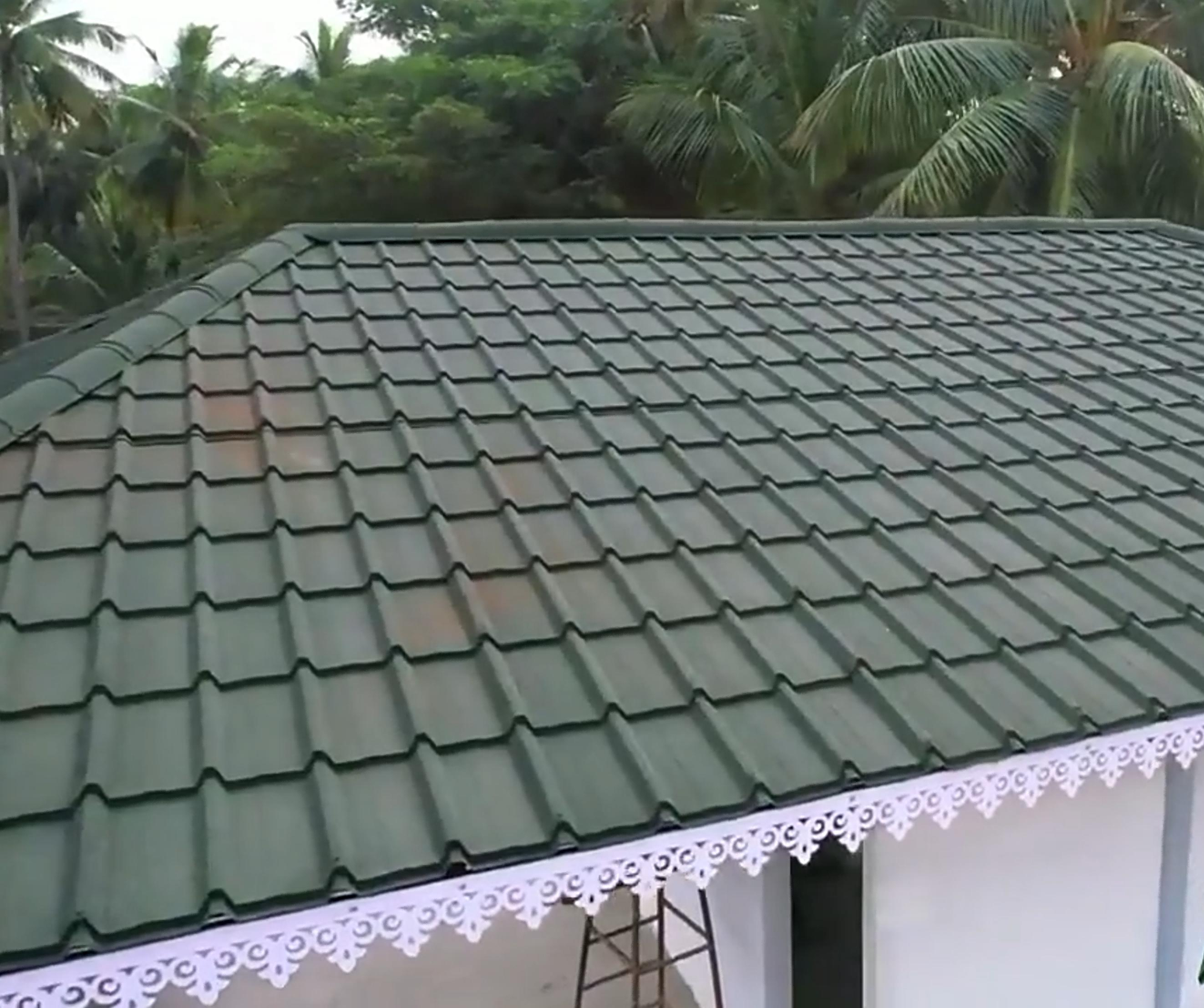 long span roofing sheet(1).png
