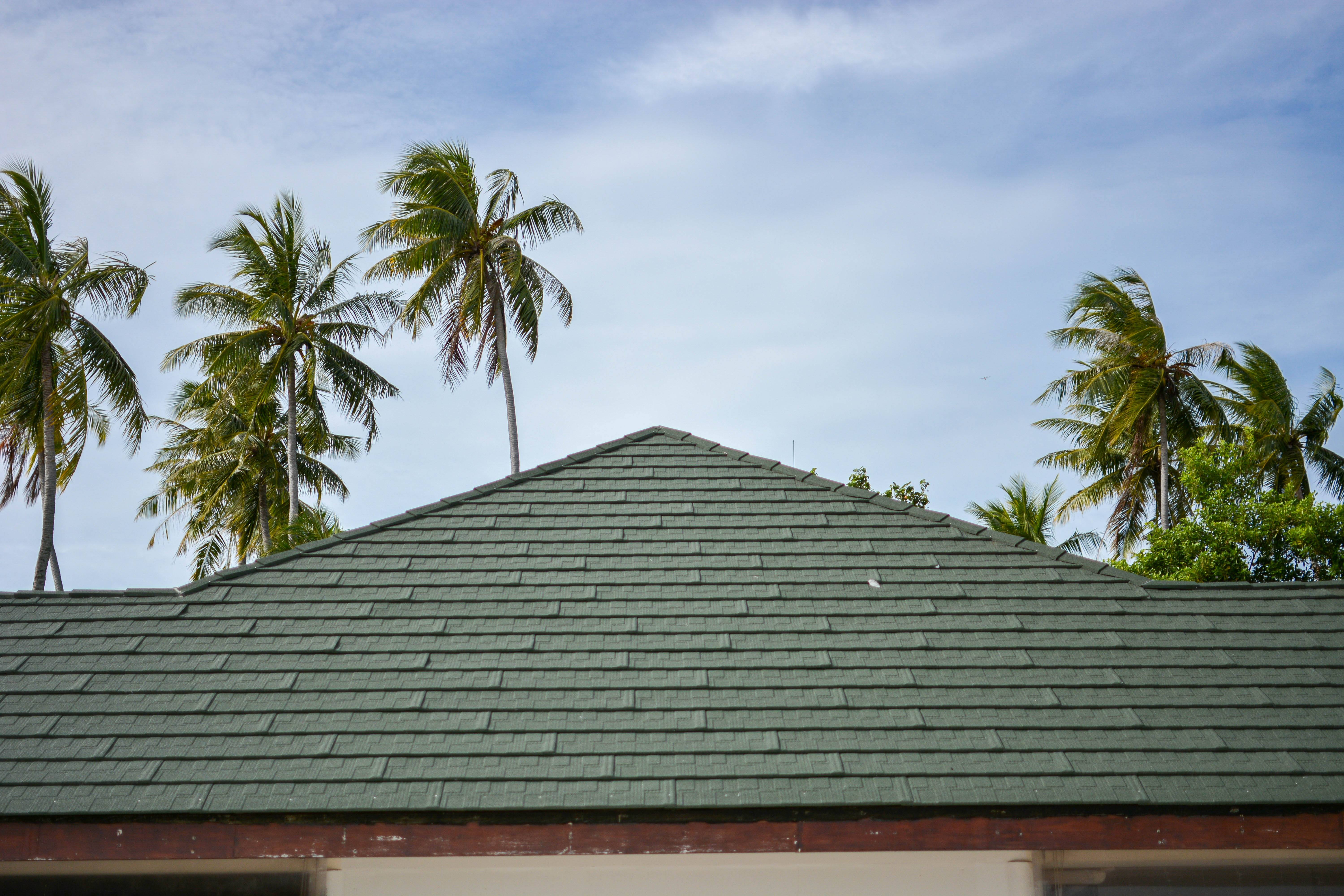 MKB_8839(1).jpg MKB_8839(1).jpg