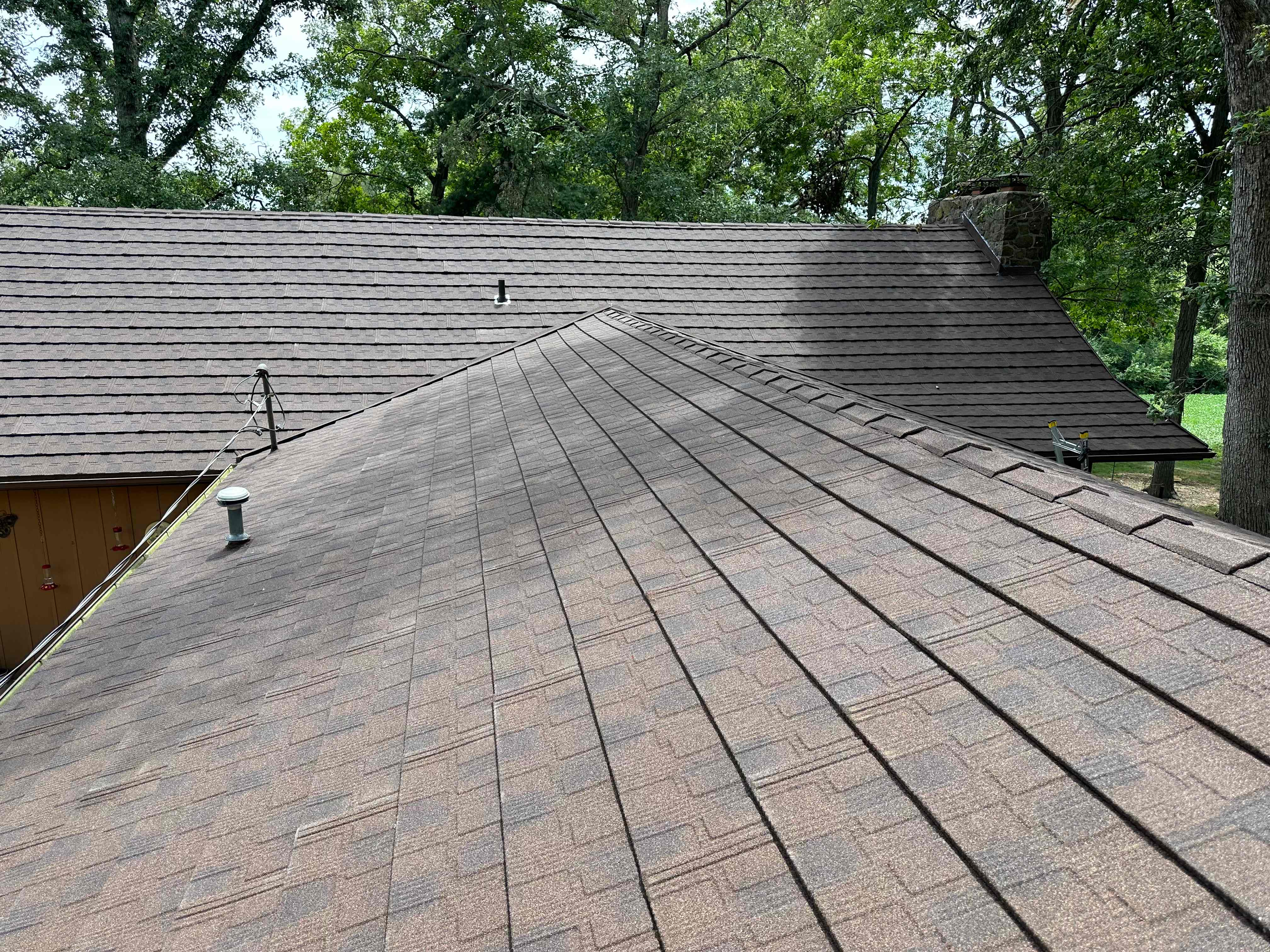 美国Shani(1)(1).jpg 美国Shani(1)(1).jpg