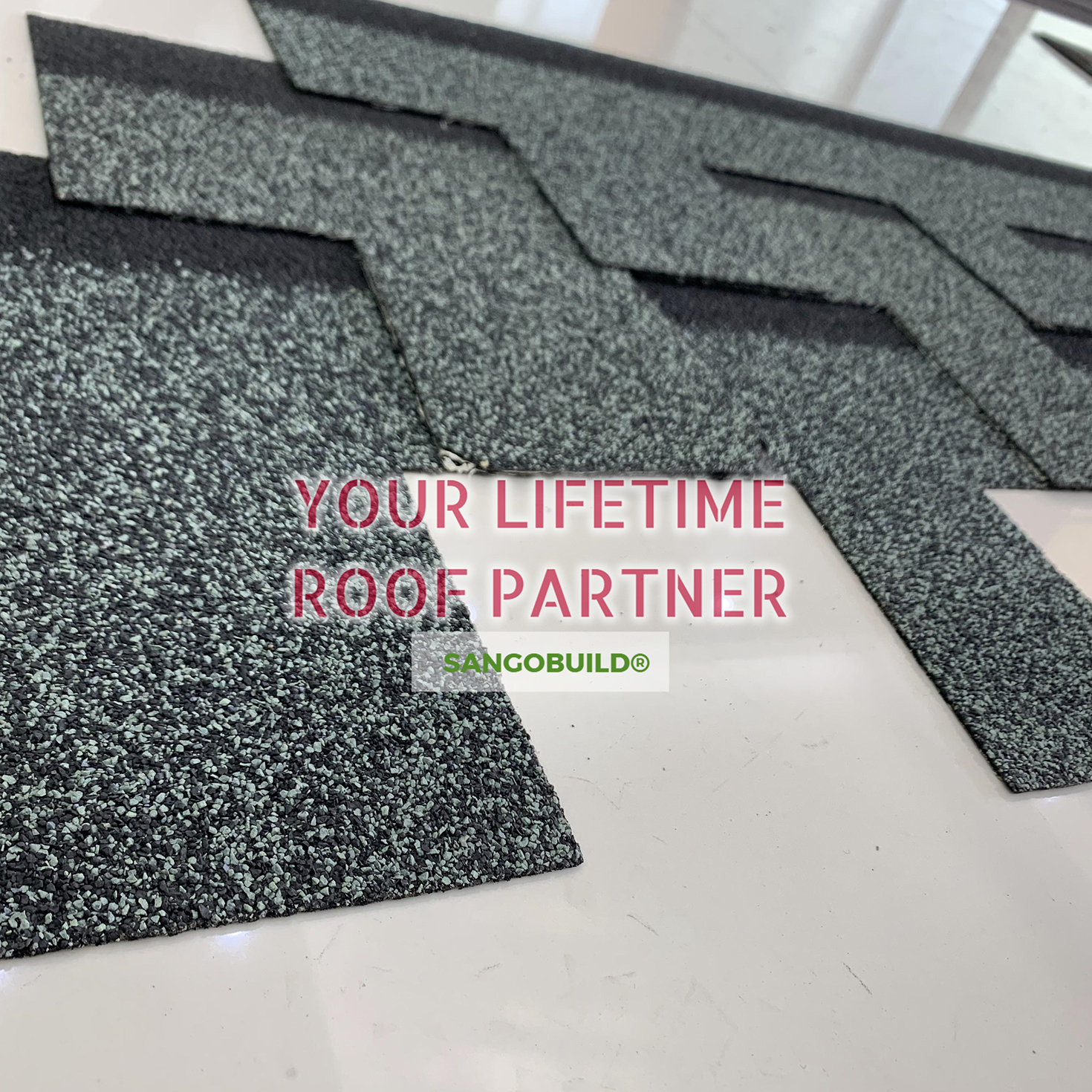 Dragon Teeth Asphalt Shingle