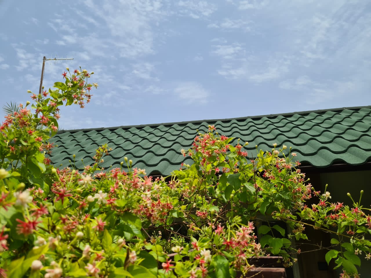 What Kind of Roof Tiles Are Suitable for Flat to Slope